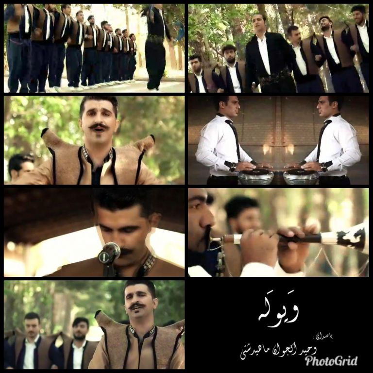 وحید اکجوان ویوله